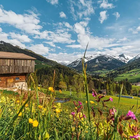 Rofanlodge Gutschlhofer - A House With A View, A Terrace And Parking Mariatal